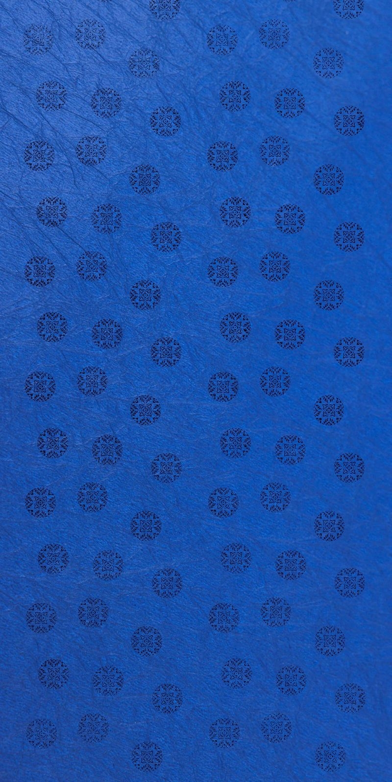 サムネイル 2