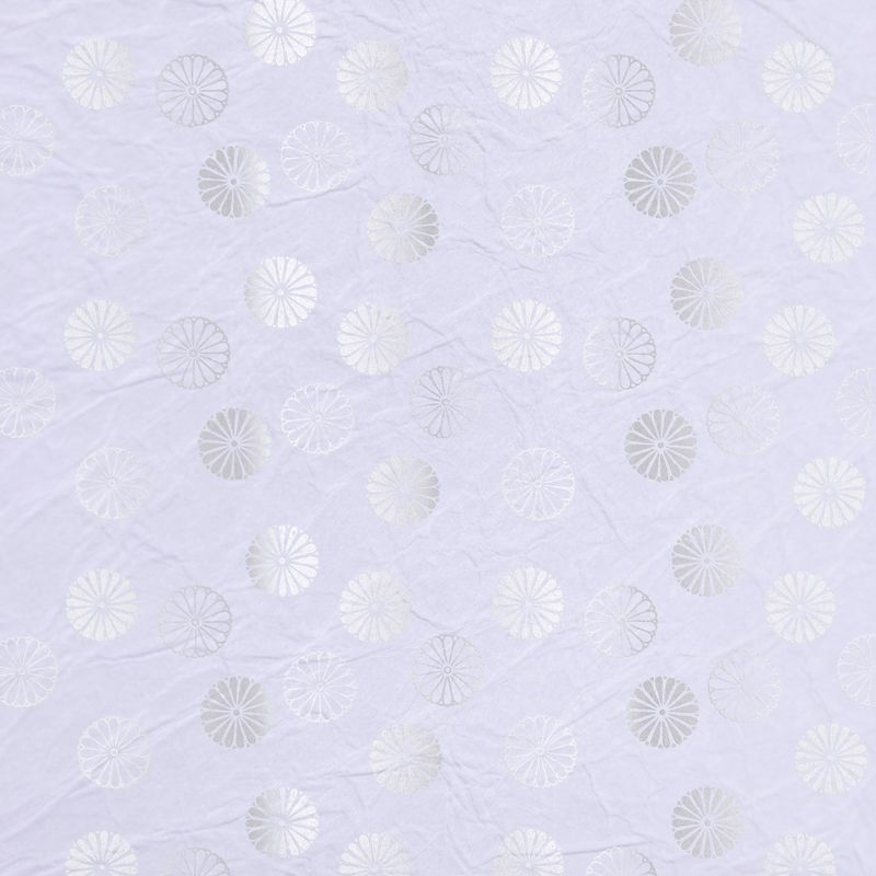 陰日向菊丸（Chrysanthemum Shade and Light）