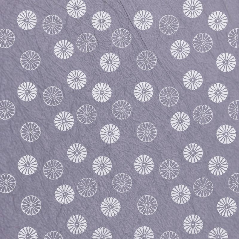 陰日向菊丸（Chrysanthemum Shade and Light）