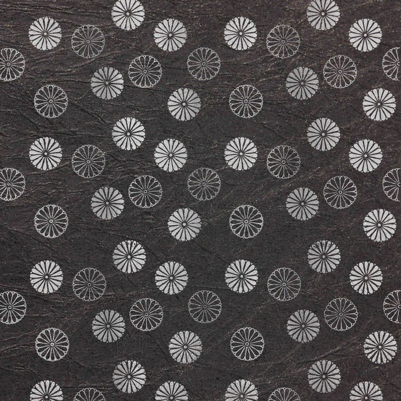 陰日向菊丸（Chrysanthemum Shade and Light）