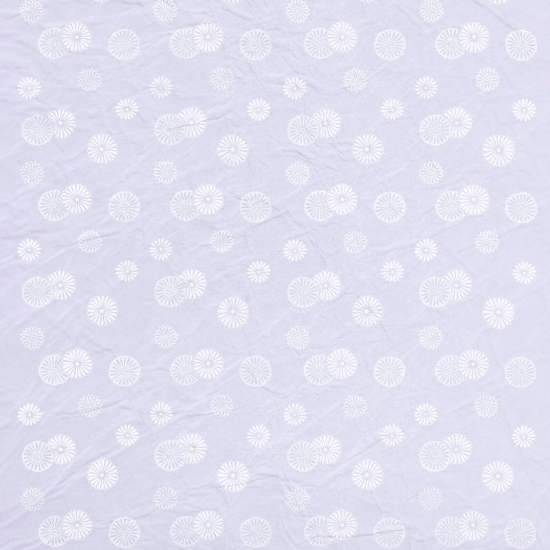陰日向小菊（Little Chrysanthemum Shade and Light）