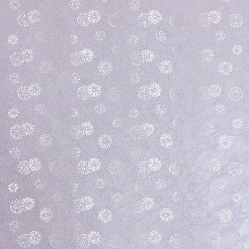 陰日向小菊（Little Chrysanthemum Shade and Light）