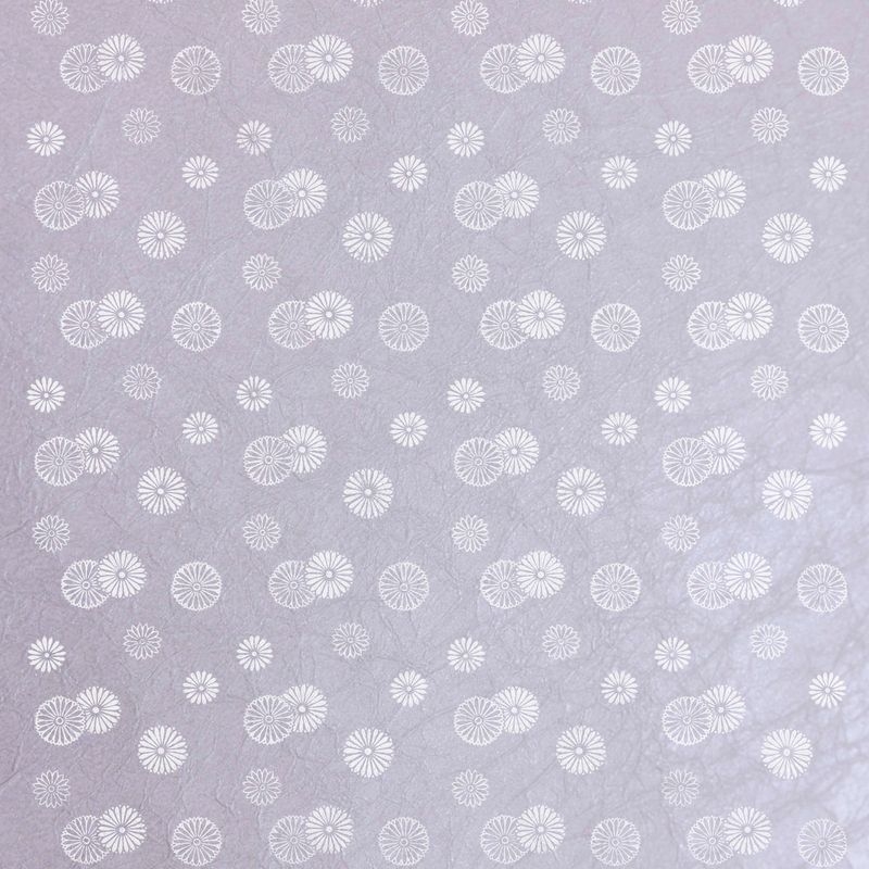 陰日向小菊（Little Chrysanthemum Shade and Light）