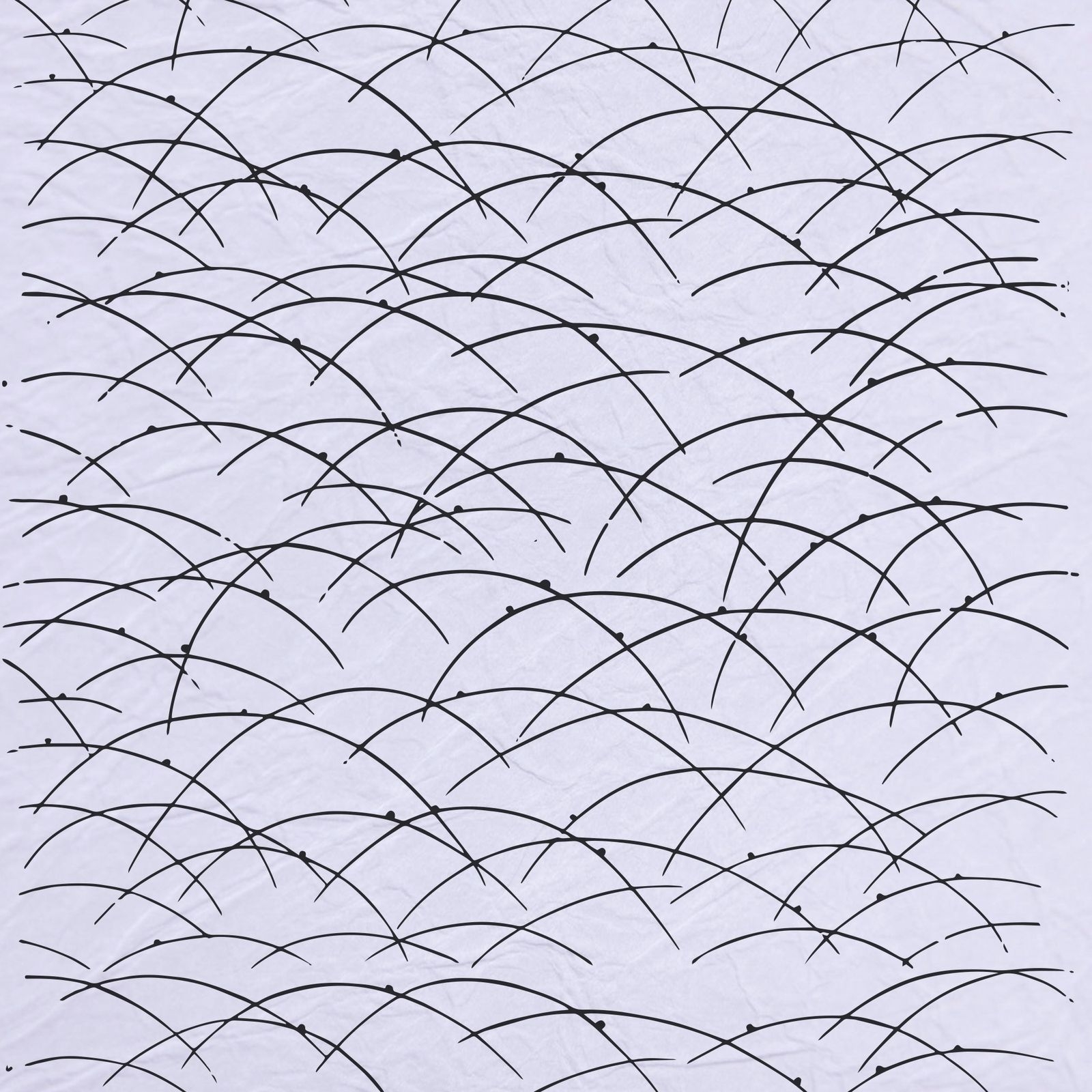 商品画像 1