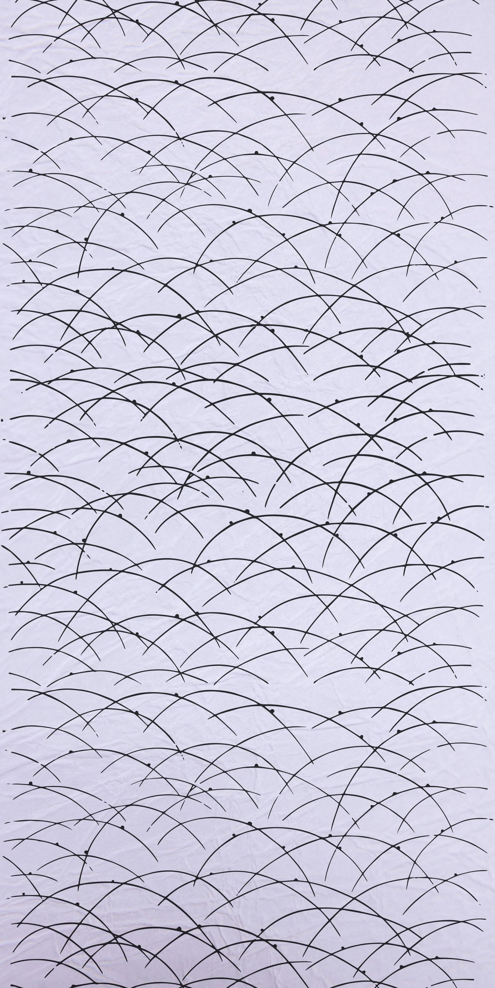 商品画像 2