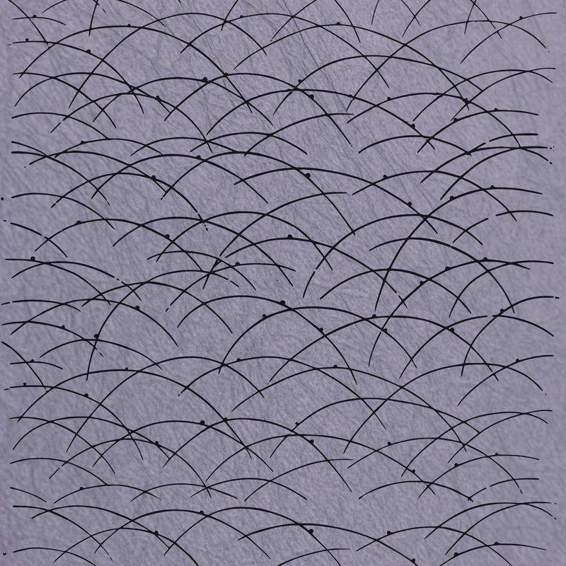 露草（Grass with Dew）