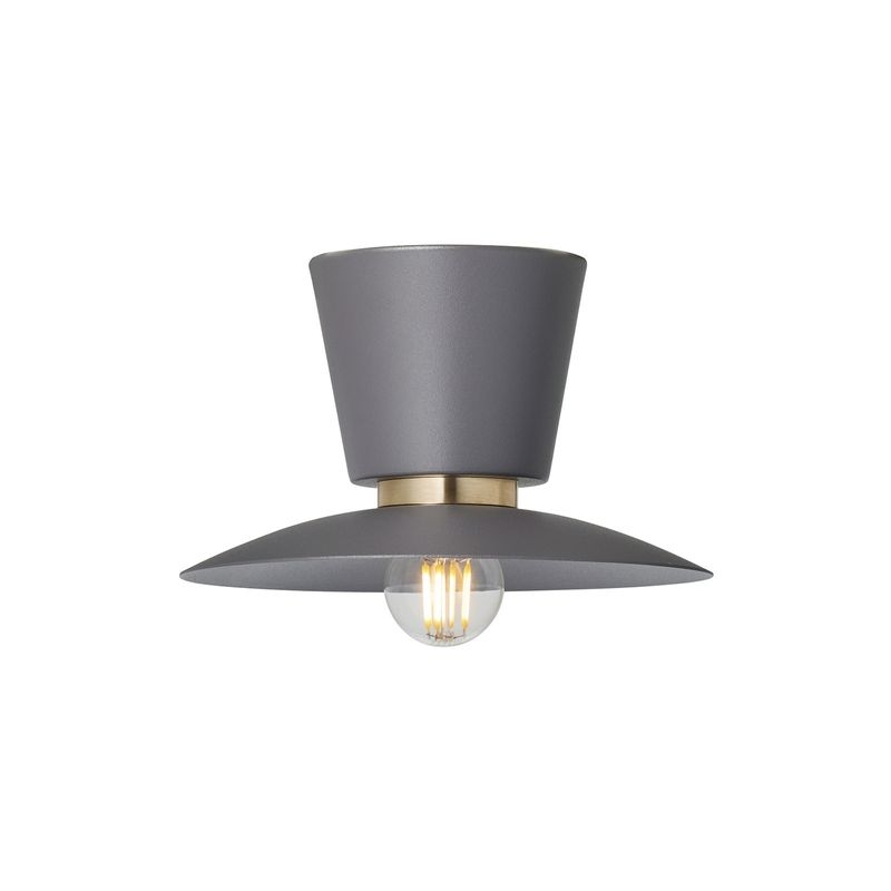 Probe-ceiling light S