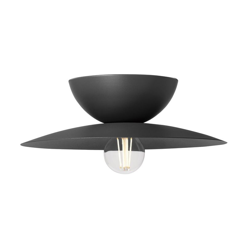 Probe-ceiling light L