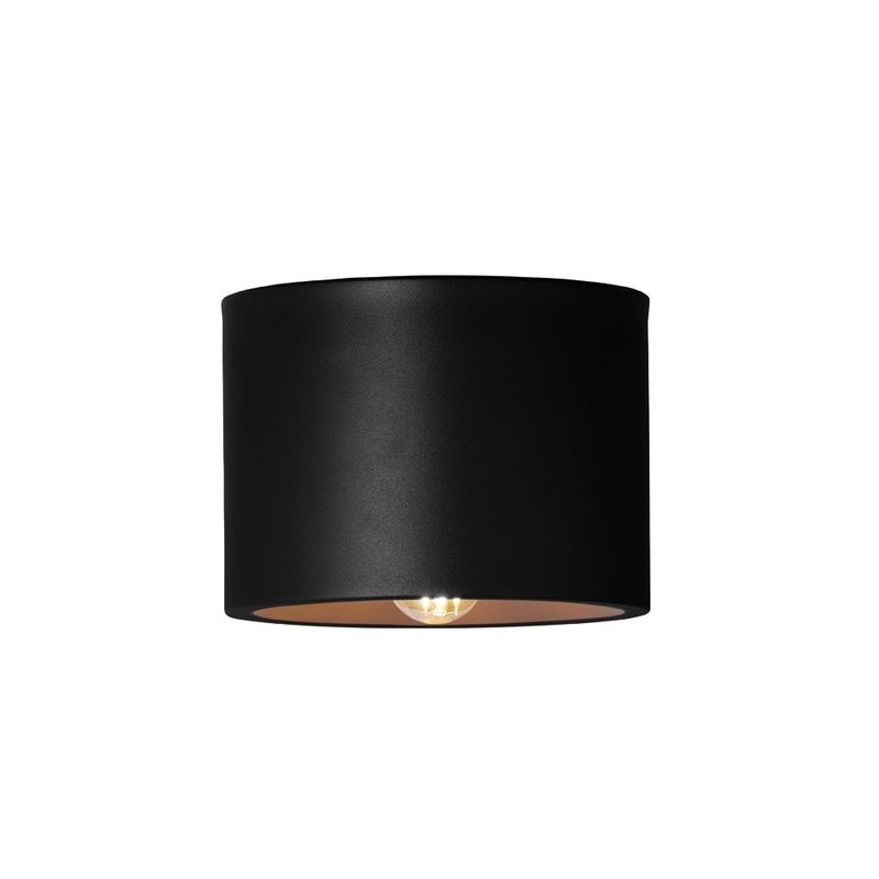 Eve-ceiling light