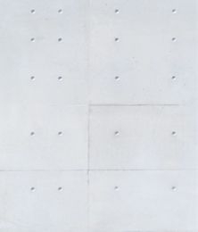 コンクリート打放し(パネコート) APクリア