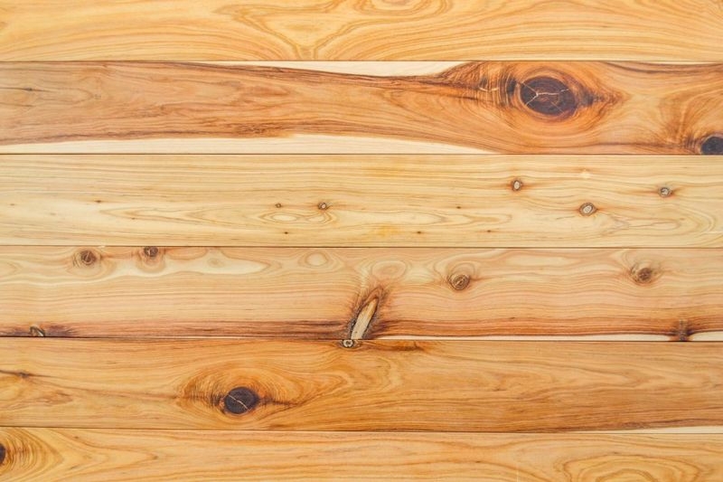 CYPRESS 00018