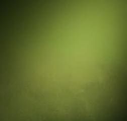 エコフラット70