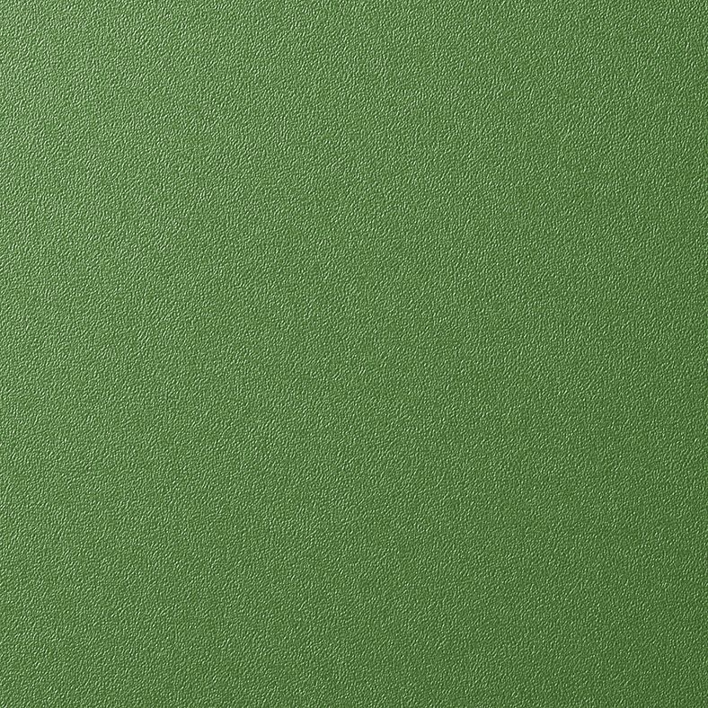 3M™ ダイノック™ プレーン　グリーン