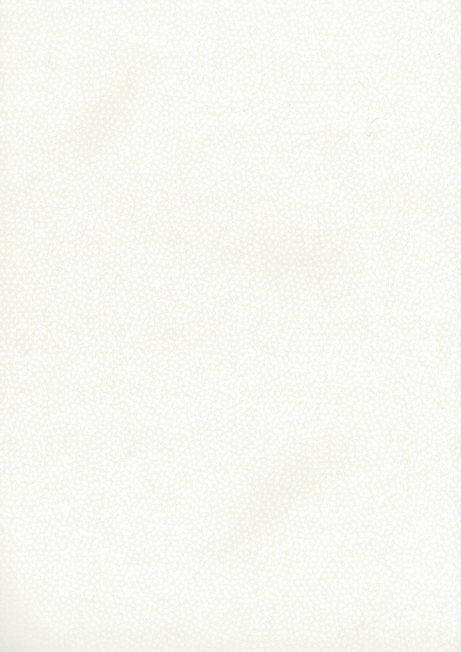 商品画像 1