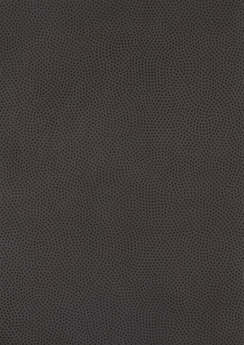 サムネイル 1
