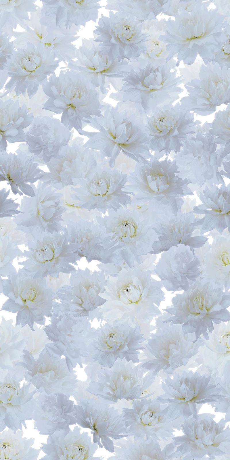+WONDER / メラミン化粧板 - W-3069 White