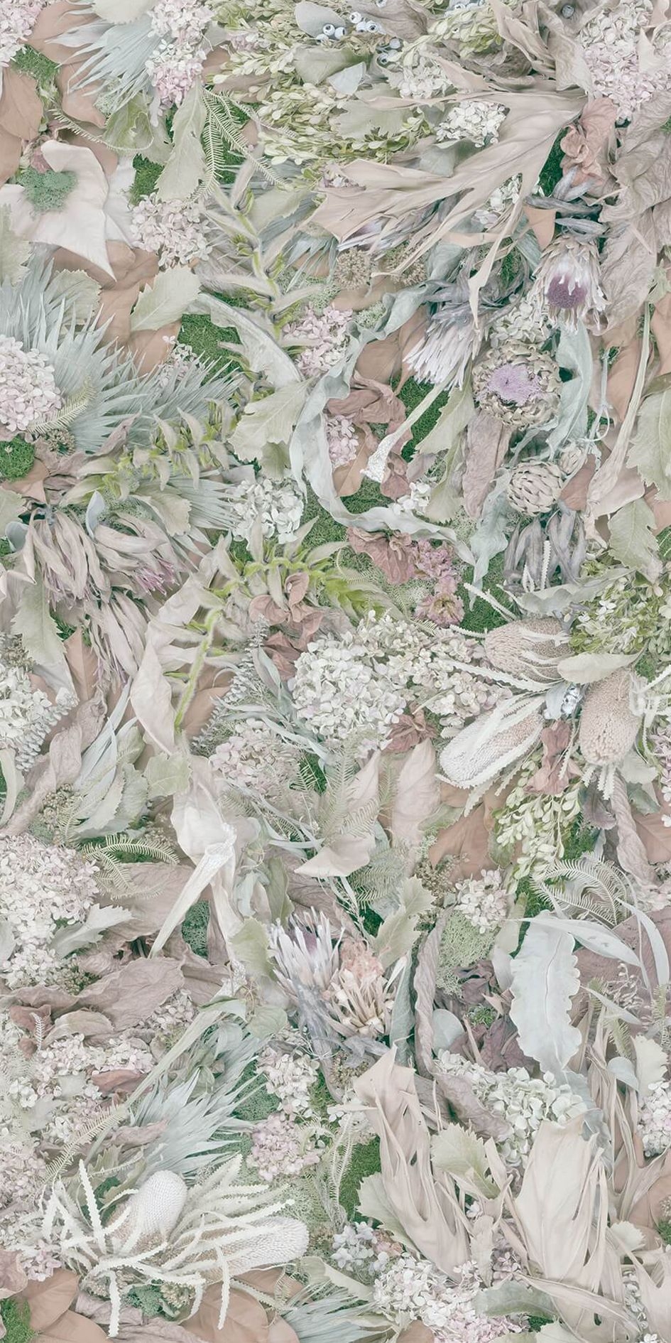 商品画像 1