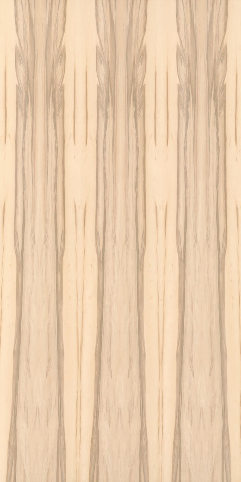 +WONDER / メラミン化粧板 - W-3010　Natural