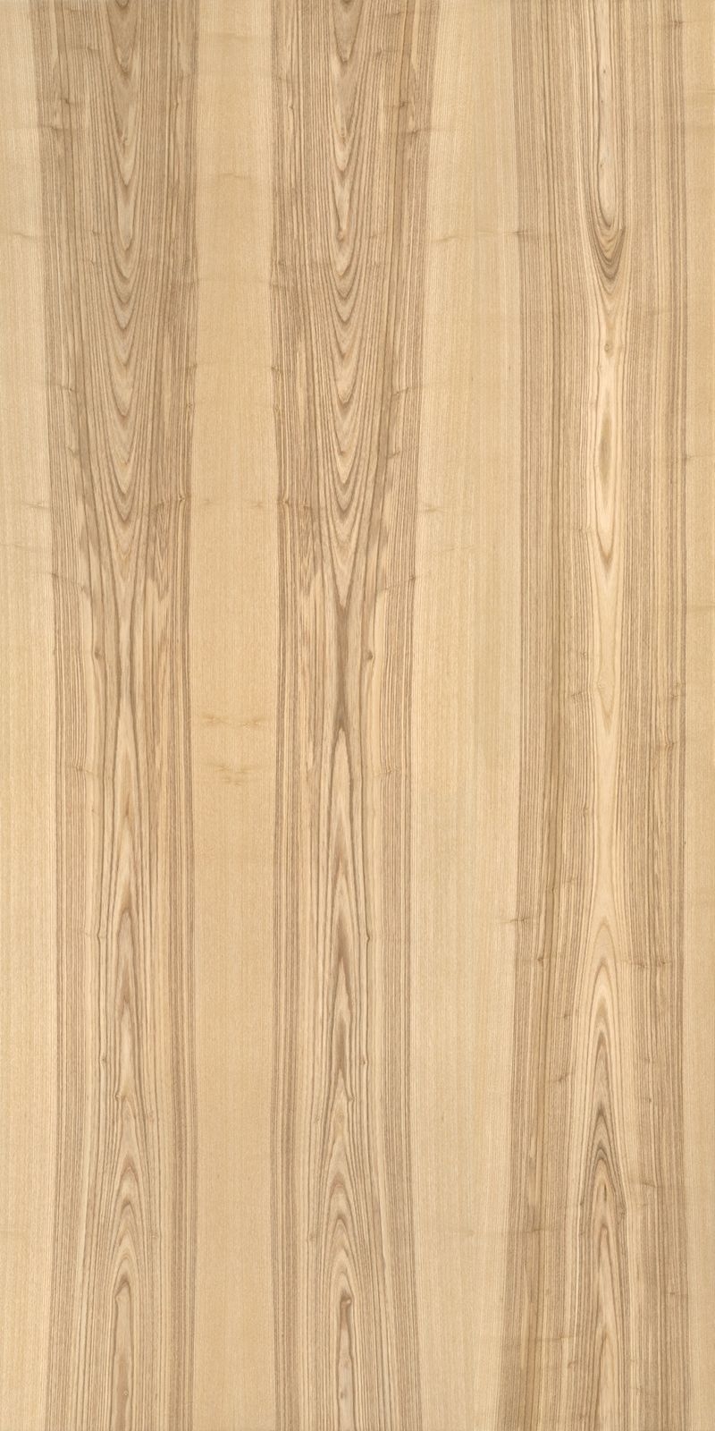 +WONDER / メラミン化粧板 - W-3111 Oil Finish