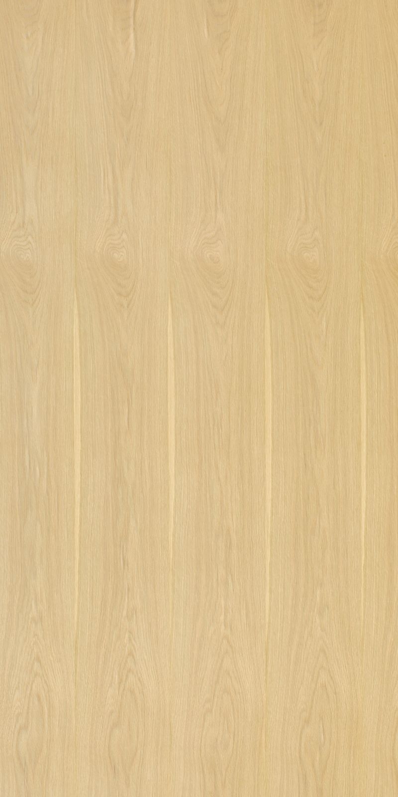 +WONDER / メラミン化粧板 - W-3181KQ98 Natural