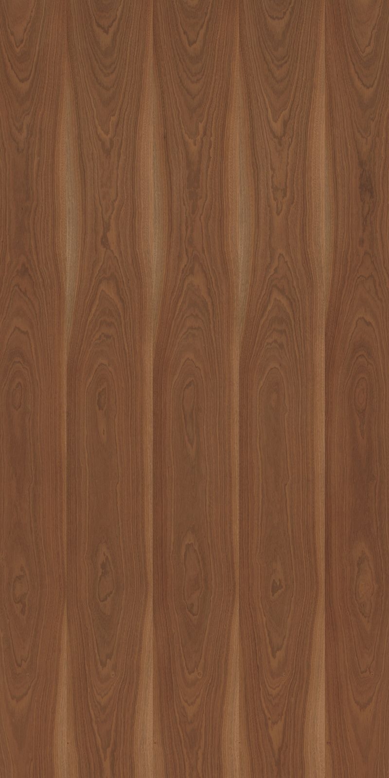 +WONDER / メラミン化粧板 - W-3188KQ98　Oil Finish