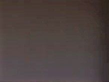 ジョリパット 特注色