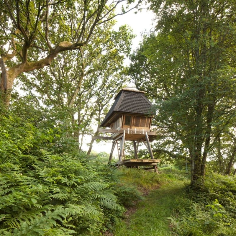 Hut on stilts