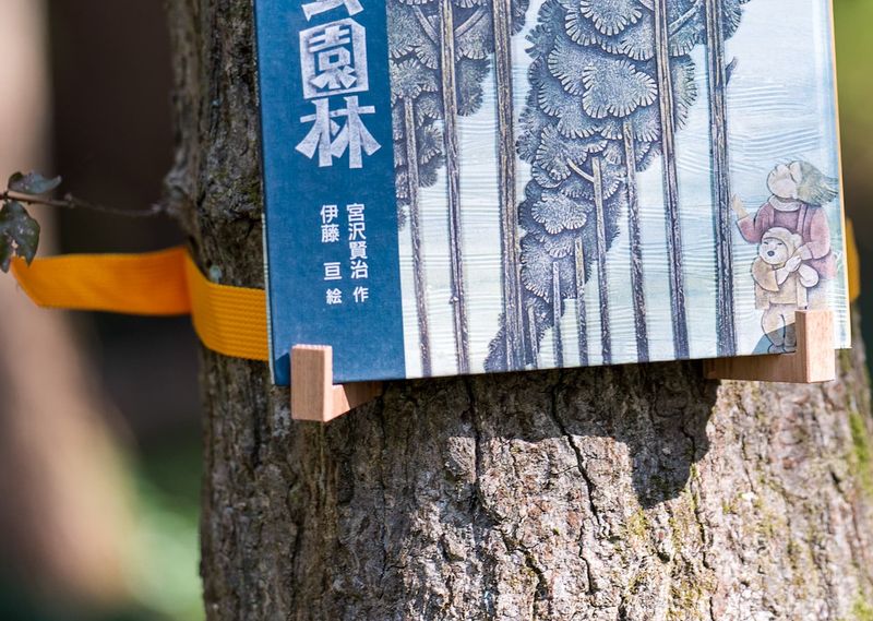 特注木製棚受け タモ材 ベルトバックル（プラスチック）付き