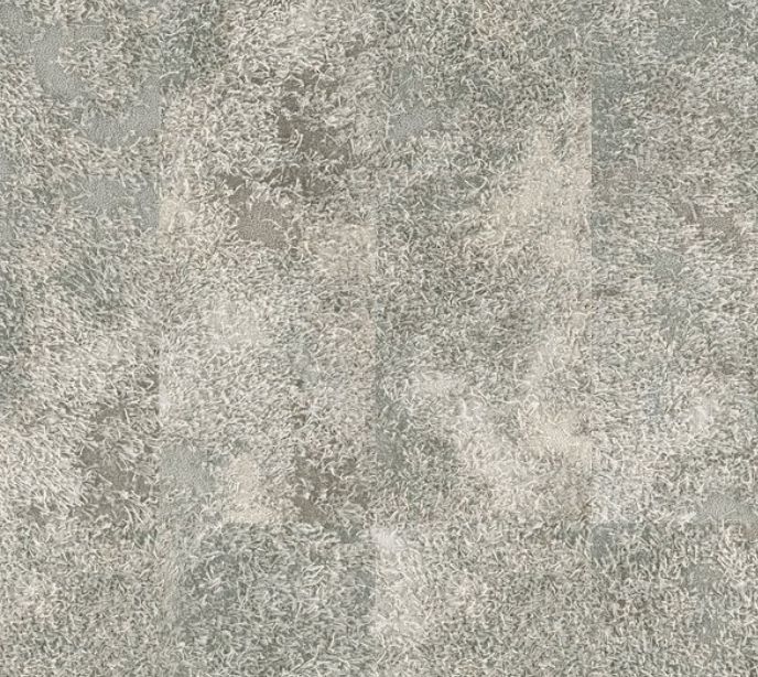 Primitive Tile 5T170