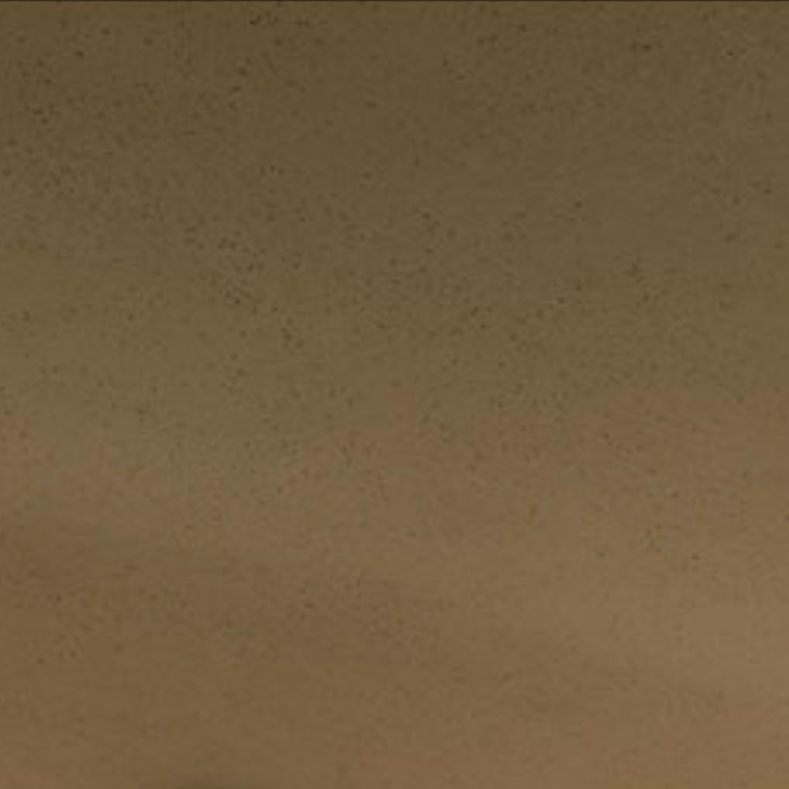 PLASTER DE ELEGANCE