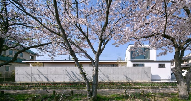 SHN 桜並木を望む住宅