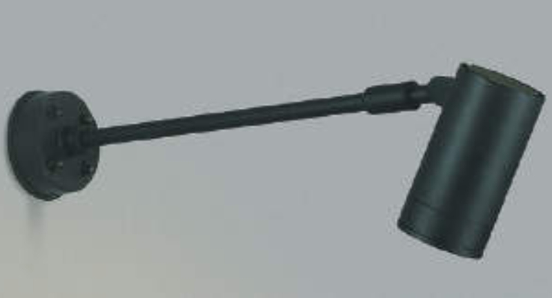AU43666L
