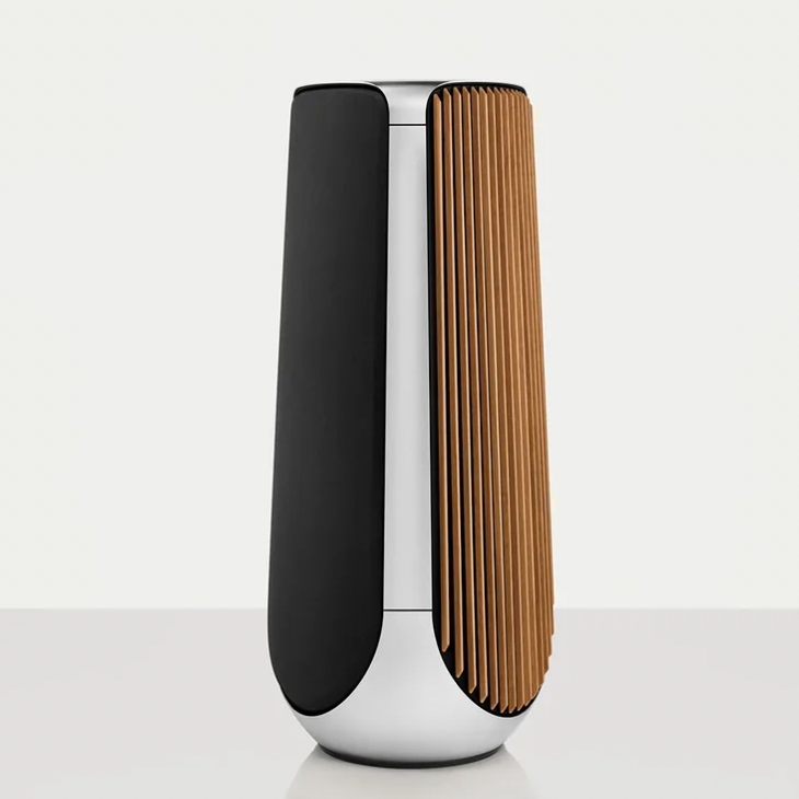 Beolab 50 - Oak