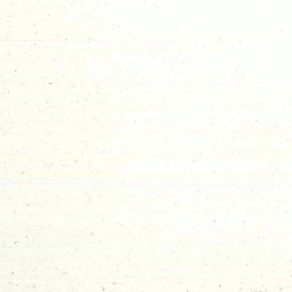 レーヴ 内装用