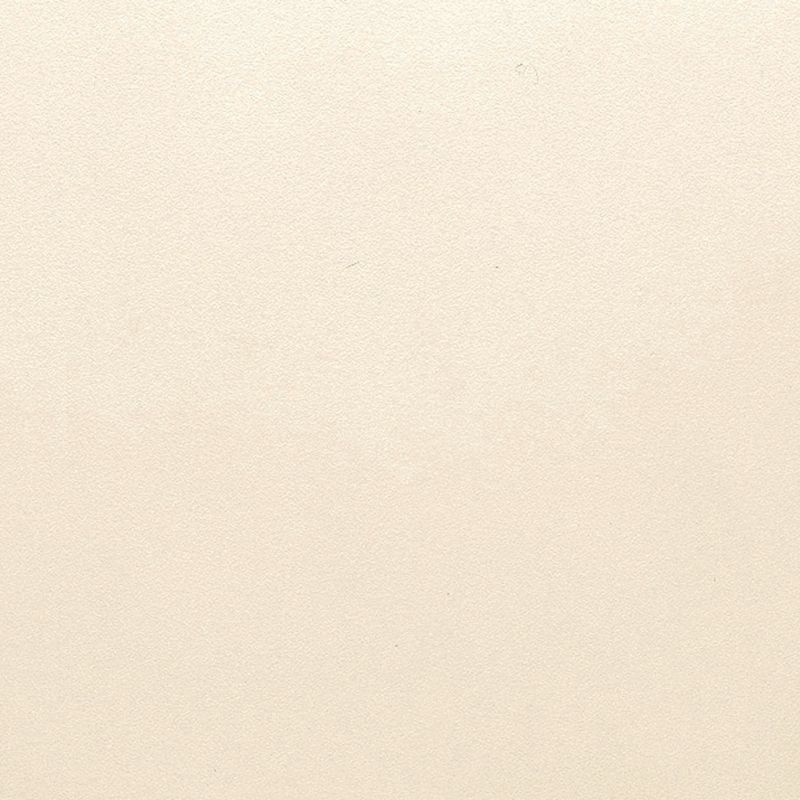軒天12 スチップル調 無孔板 - シェルホワイト