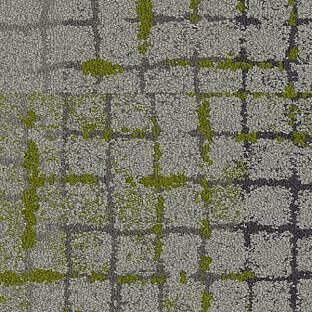 Moss in Stone