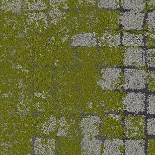 Moss in Stone